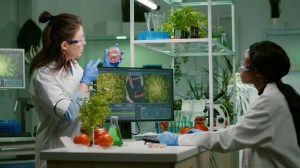 The New Zealand government is ending its nearly 30 year ban on gene technology outside the lab, a move precision fermentation advocates are calling a big step forward for the sector.
