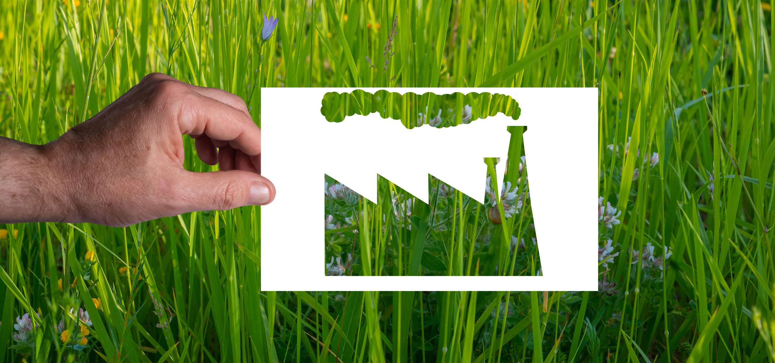 ACCC targets “greenwashing” in internet sweep - Future Alternative