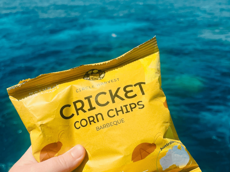 Cricket Corn Chips from Circle Harvest.