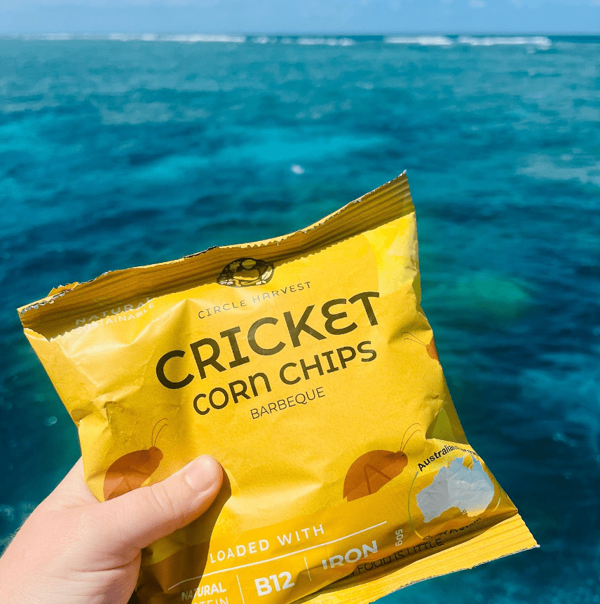Cricket protein based corn chips from Circle Harvest.
