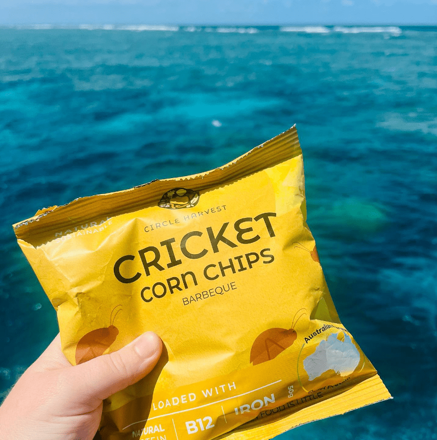 Cricket Corn Chips from Circle Harvest.