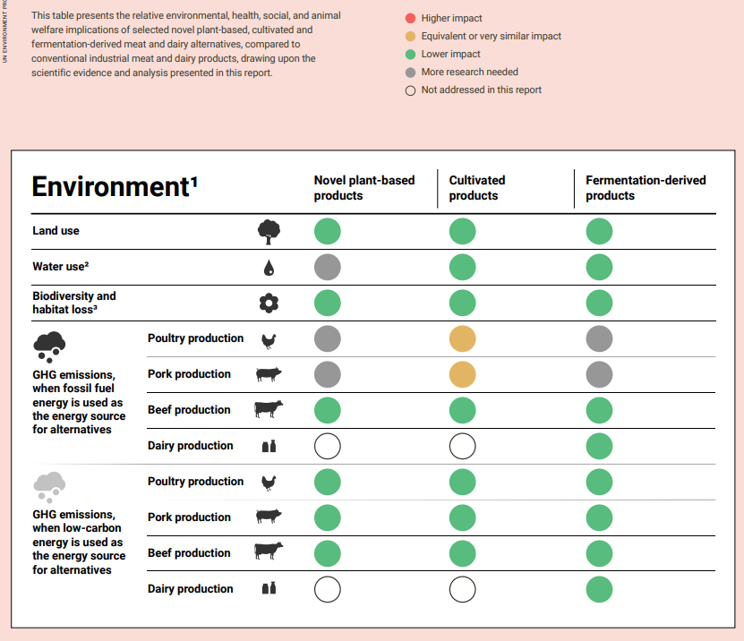 The environmental impact of alternative proteins according to UN.