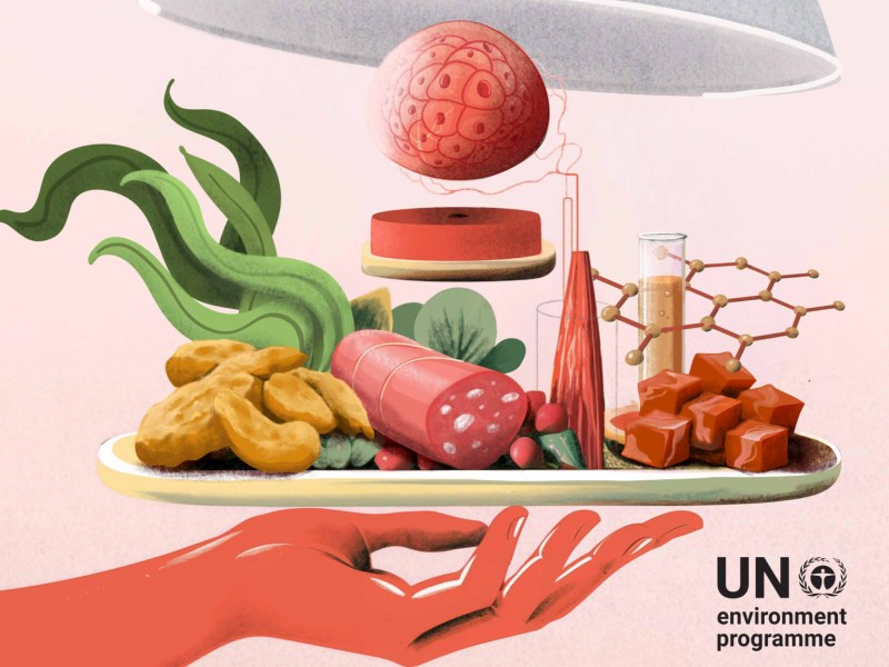 UNEP Frontiers Report on novel meat and dairy alternatives