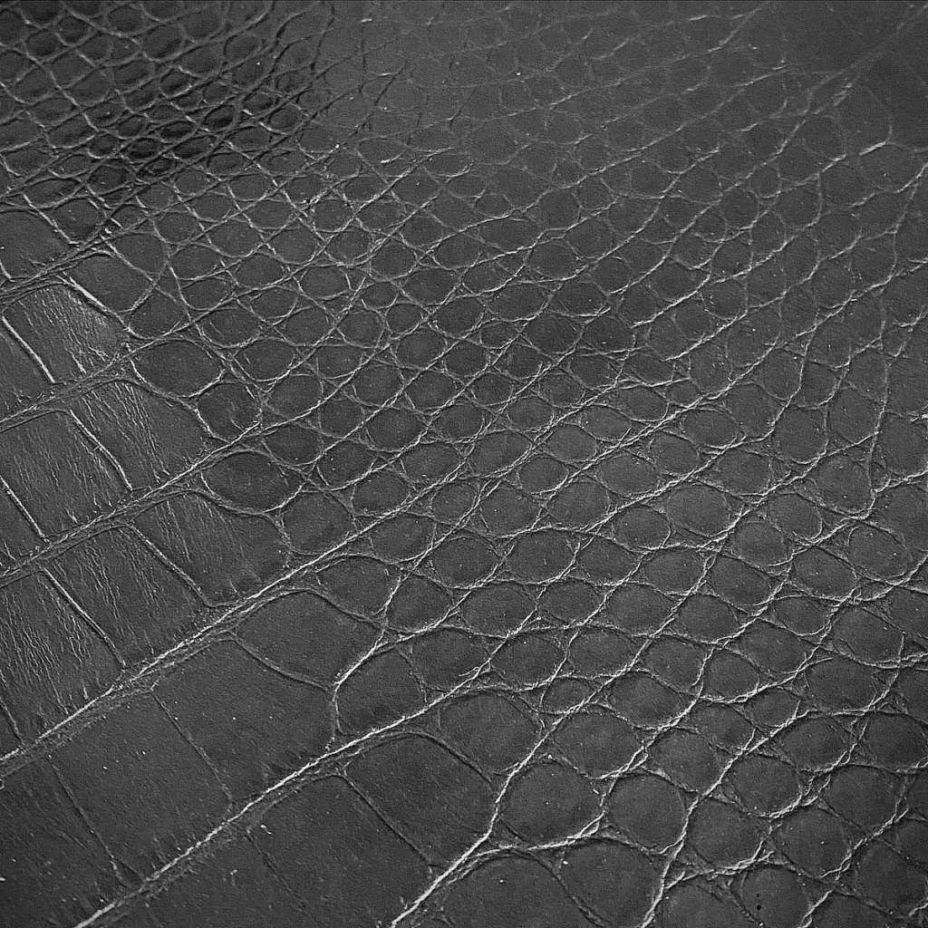 ALT. Leather sample.