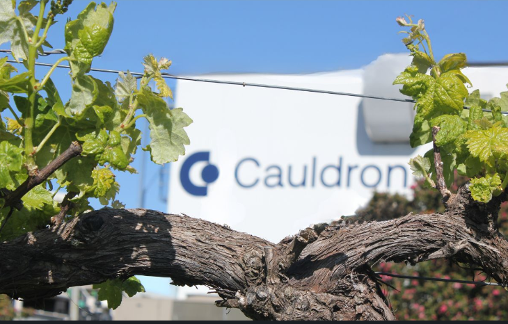 Cauldron has received a licence for its proprietary hyper-fermentation technology, a first for the domestic novel foods sector.
