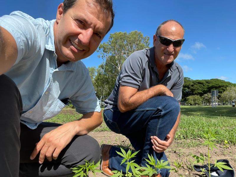 CSIRO's Pablo Juliano (L), and Wandarra's Steve Tiley at a hemp trial in North Queensland.