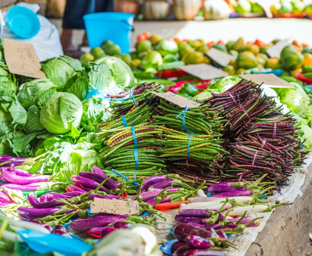 New Zealand will invest NZ$15.3 million (approximately USD $9.3 million) in building the resilience of Pacific food systems in the face of climate change.   