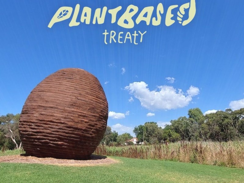 Darebin has become the first city in Australia to endorse the Plant Based Treaty, which calls for a global agreement that aligns food systems to the Paris Agreement.