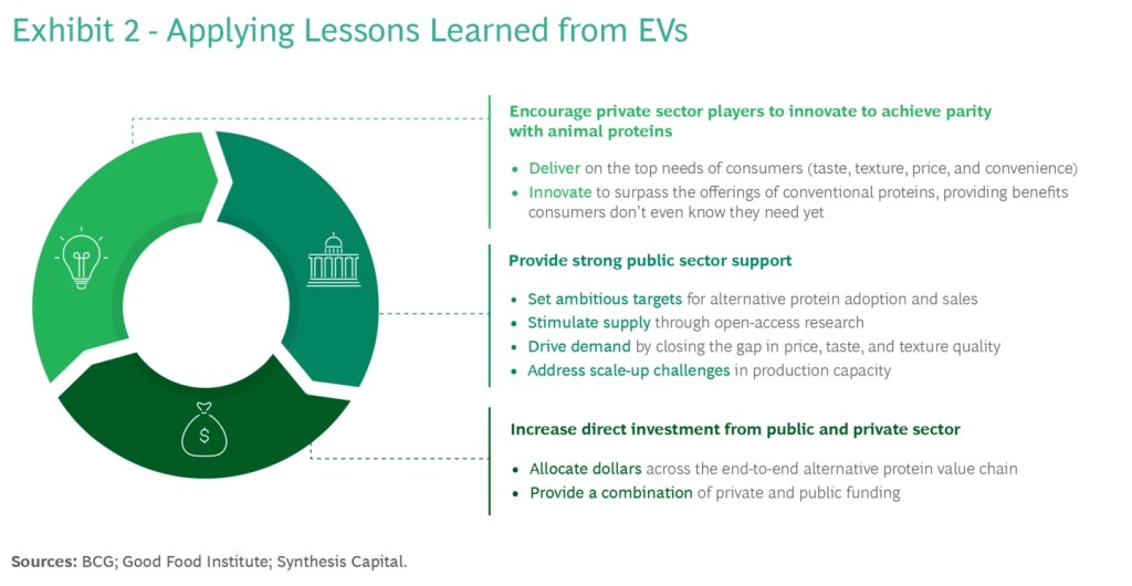 The alternative proteins sector should take inspiration from the success of the electric vehicle (EV) industry, according to a new report released by Boston Consulting Group (BCG), the Good Food Institute (GFI), and Synthesis Capital.