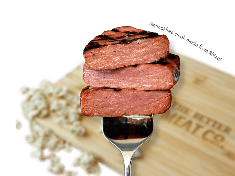 US food tech company The Better Meat Co. has received a $1.4 million grant from the United States Department of Defense (DoD) to produce its proprietary mycoprotein ingredient, Rhiza.