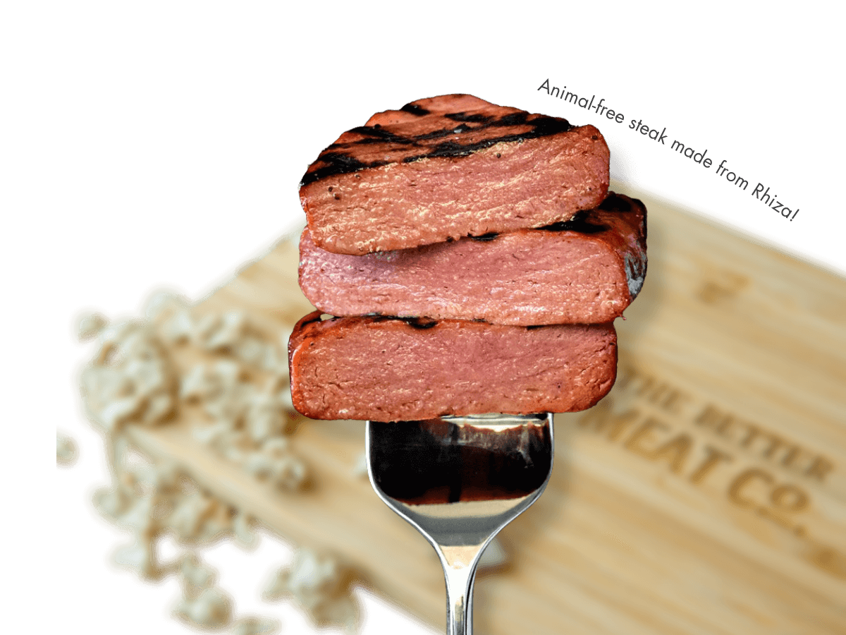 US food tech company The Better Meat Co. has received a $1.4 million grant from the United States Department of Defense (DoD) to produce its proprietary mycoprotein ingredient, Rhiza.