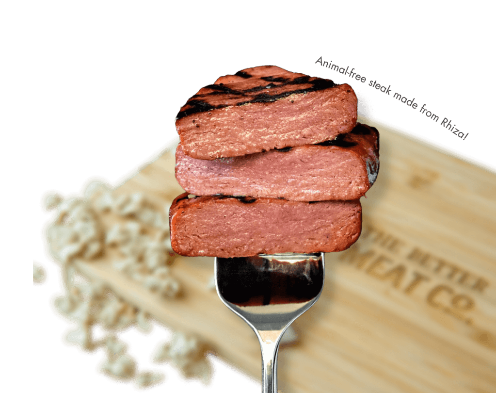 US food tech company The Better Meat Co. has received a $1.4 million grant from the United States Department of Defense (DoD) to produce its proprietary mycoprotein ingredient, Rhiza.